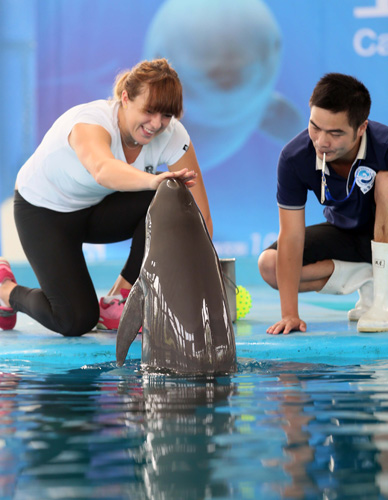 分组抽签 分组抽签