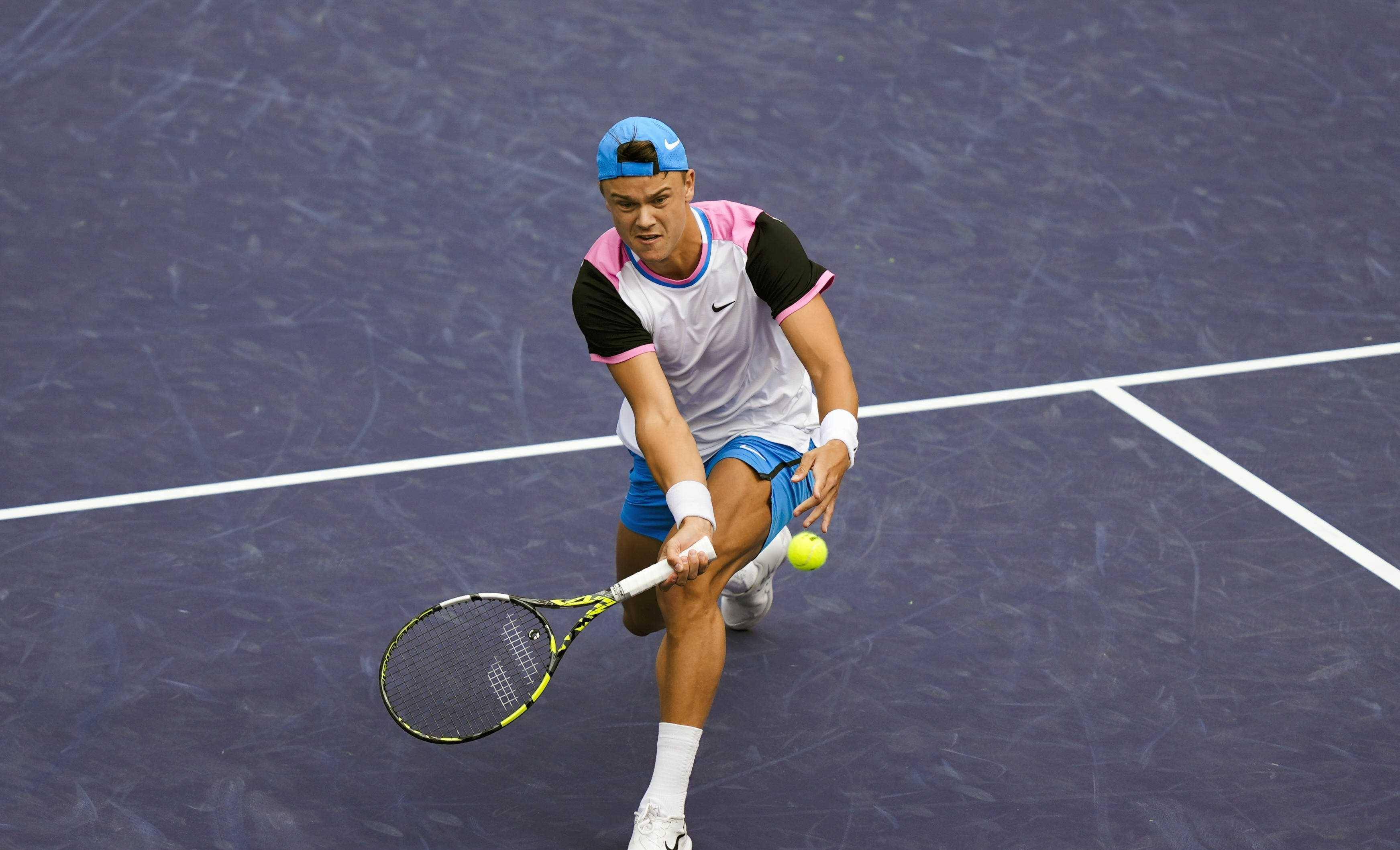 仅促进了泰 仅促进了泰