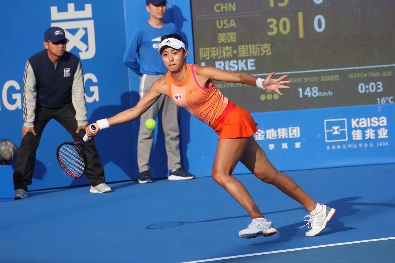 样的大型体 样的大型体