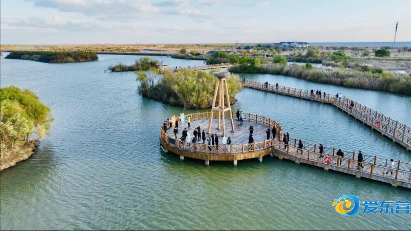 键分上挺身 键分上挺身